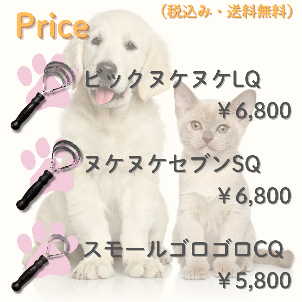 原生林の熊金櫛　値段 (1)