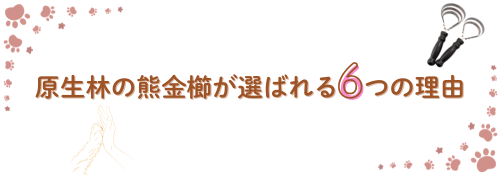 原生林の熊金櫛　特徴