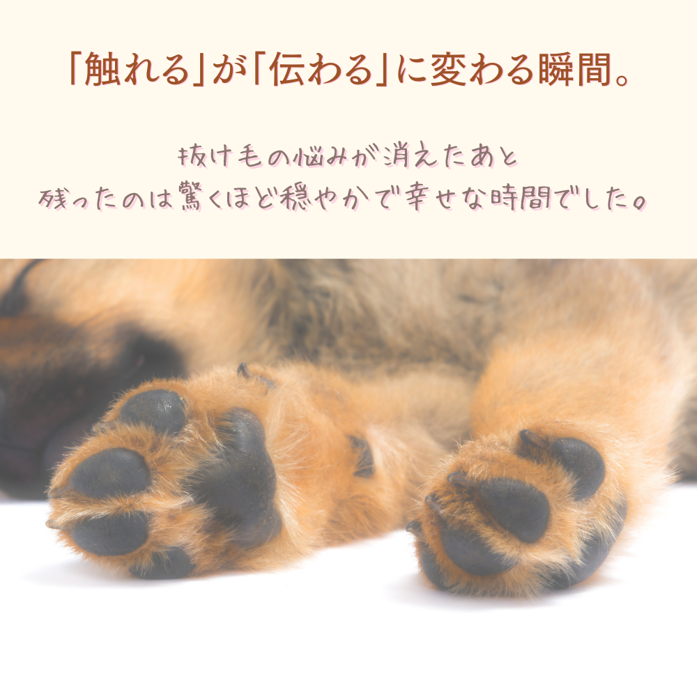 原生林の熊金櫛