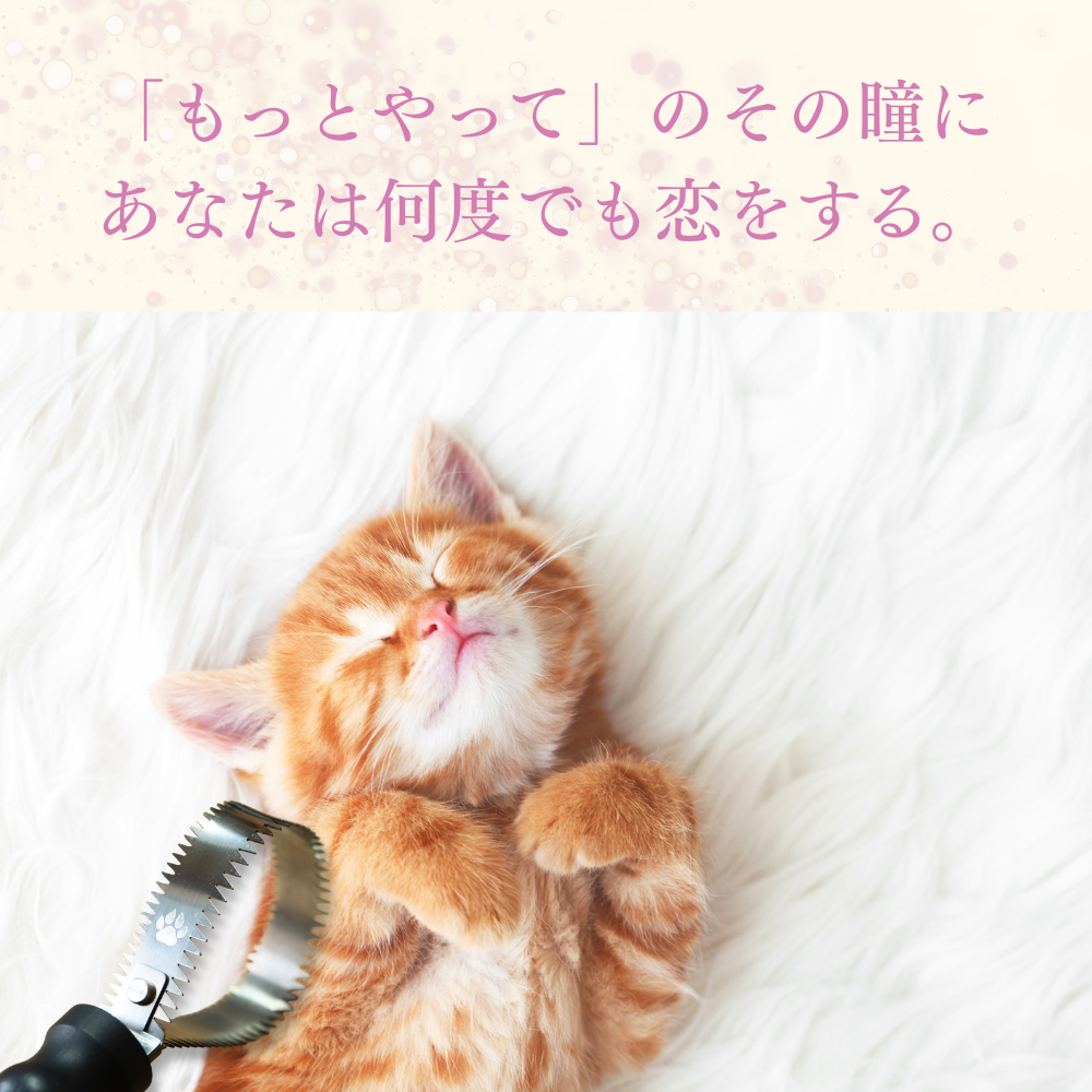 熊金櫛