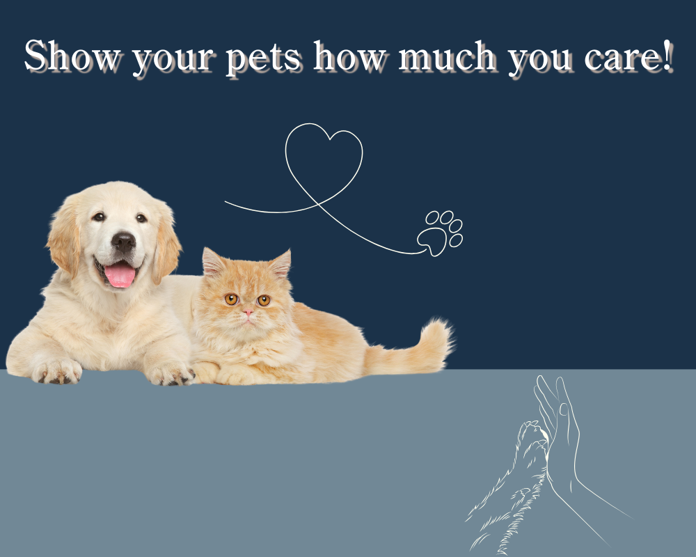 Show your pets how much you care!