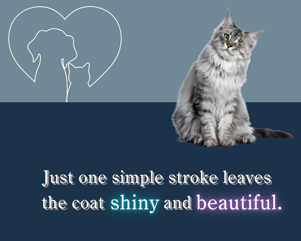 Just one simple stroke leaves the coat shiny and beautiful.