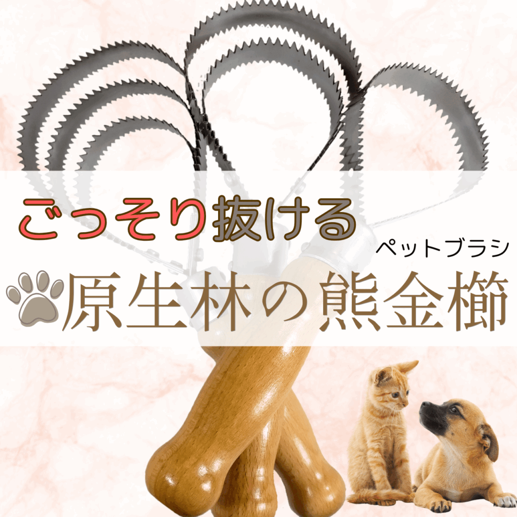 金櫛1