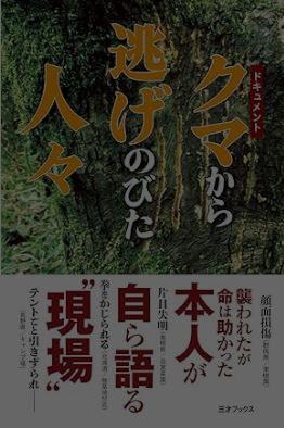 スクリーンショット 2025 08 15 003948