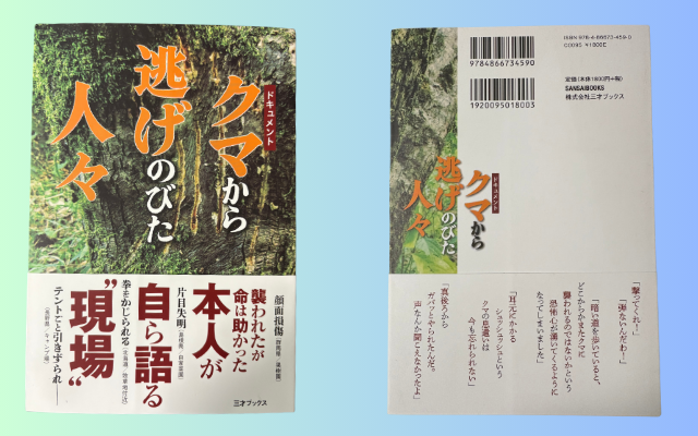 記事内画像