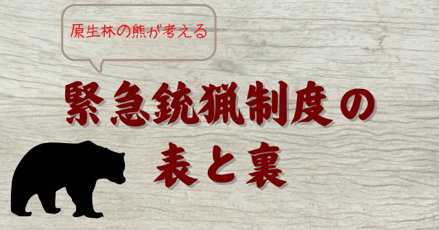 原熊アイキャッチ111