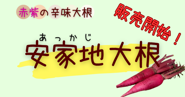 安家地大根 岩泉