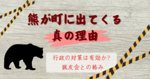 熊が町に出てくる真の理由|行政の対策は有効か?猟友会との絡み