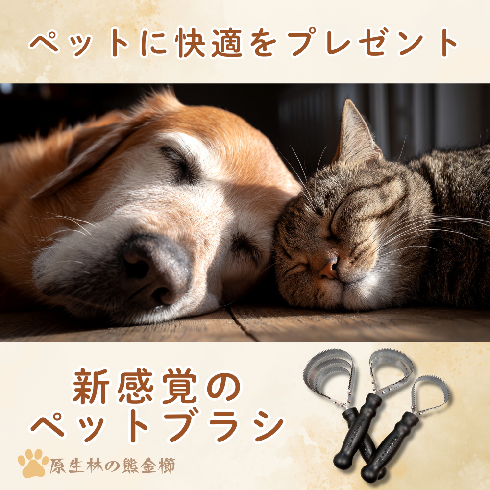 Kuma kusi　原生林の熊金櫛