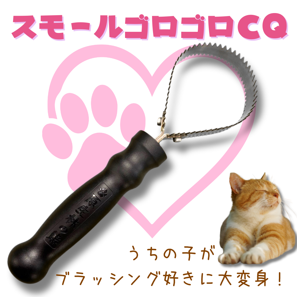 原生林の熊金櫛　スモールゴロゴロCQ