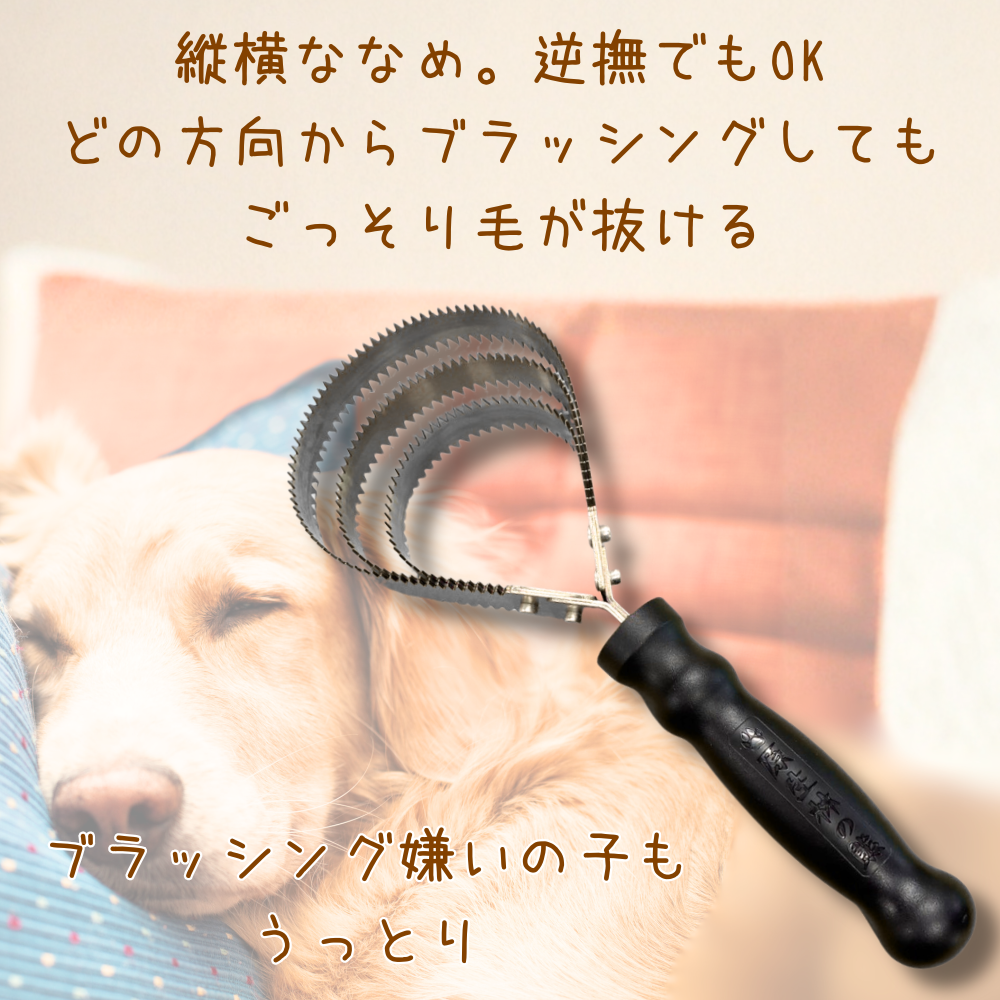 原生林の熊金櫛　ペットブラシ