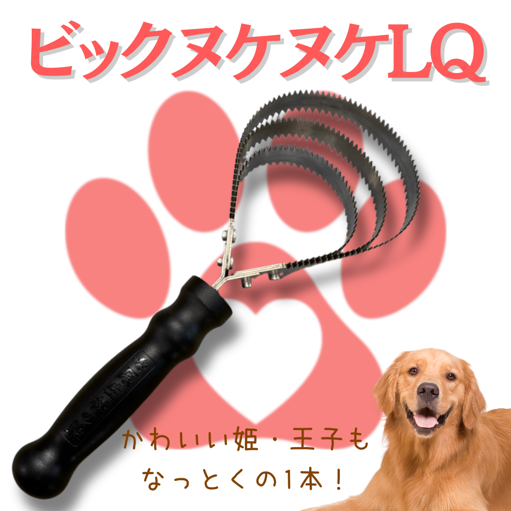 原生林の熊金櫛　ビックヌケヌケLQ