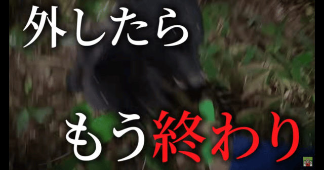 YouTube文字起こし【このスピードに熊スプレー間に合う?】クマに本当に有効な武器・対策を完全解説