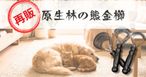 原生林の熊金櫛【バージョンアップモデル】徹底紹介