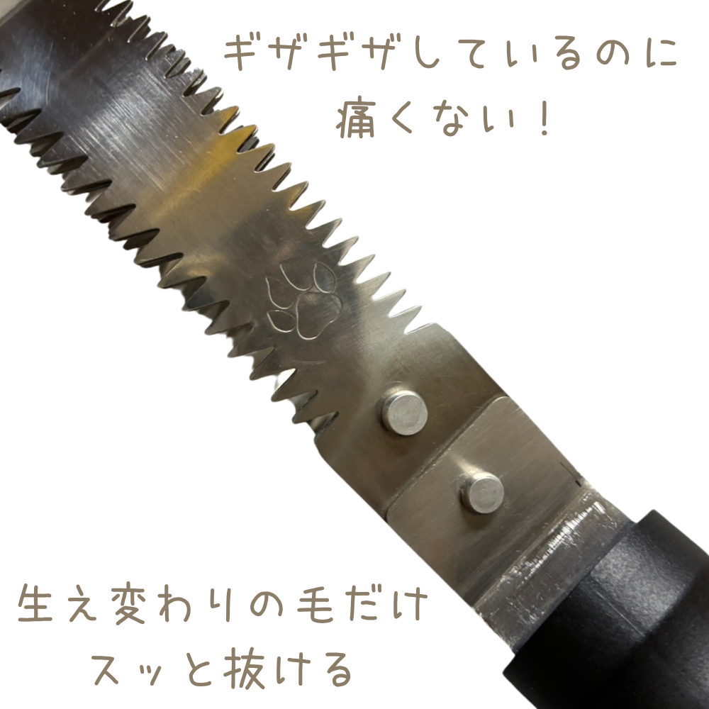 歯 原生林の熊金櫛