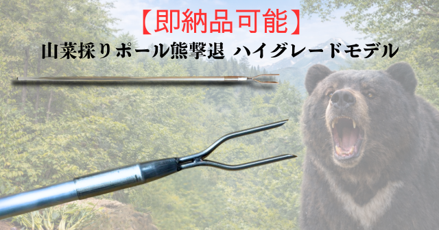 原熊アイキャッチ