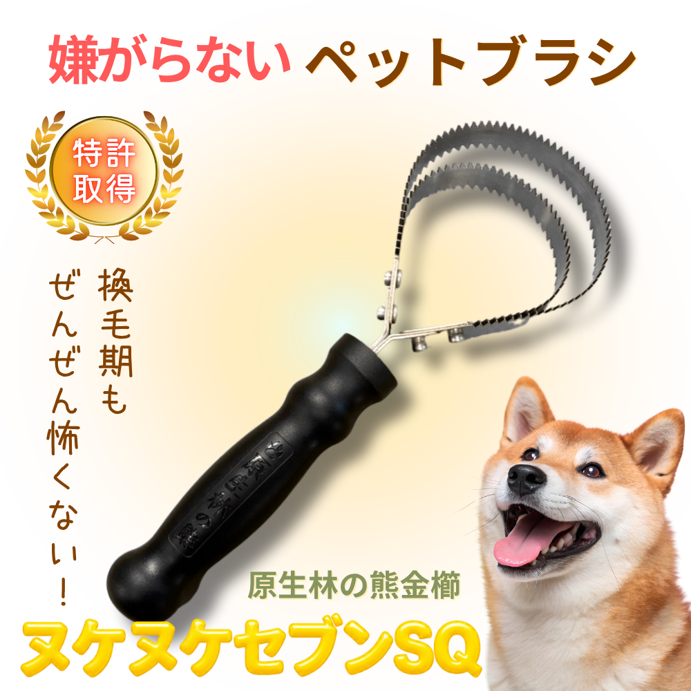 セブンSQ・B