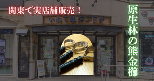 銀河プラザ 原生林の熊金櫛